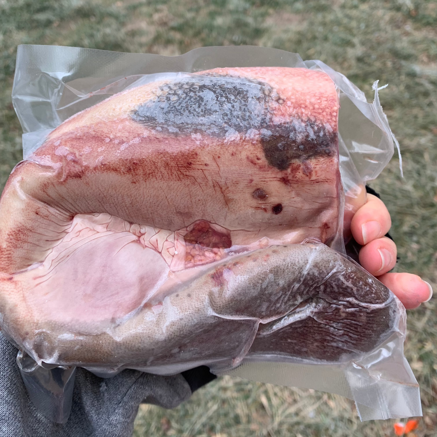 The Maker's Meadow Whole Beef Tongue