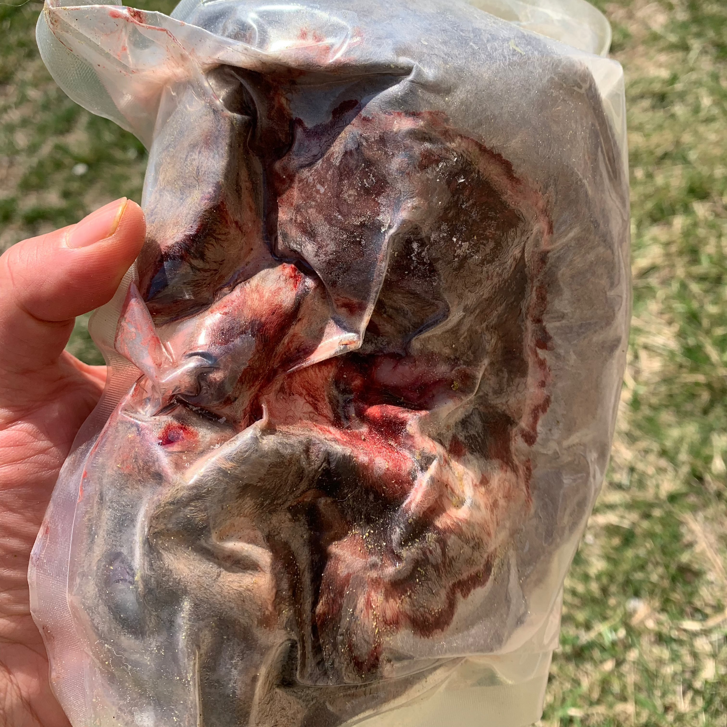 Whole Prey Rabbit 1-2 LB.