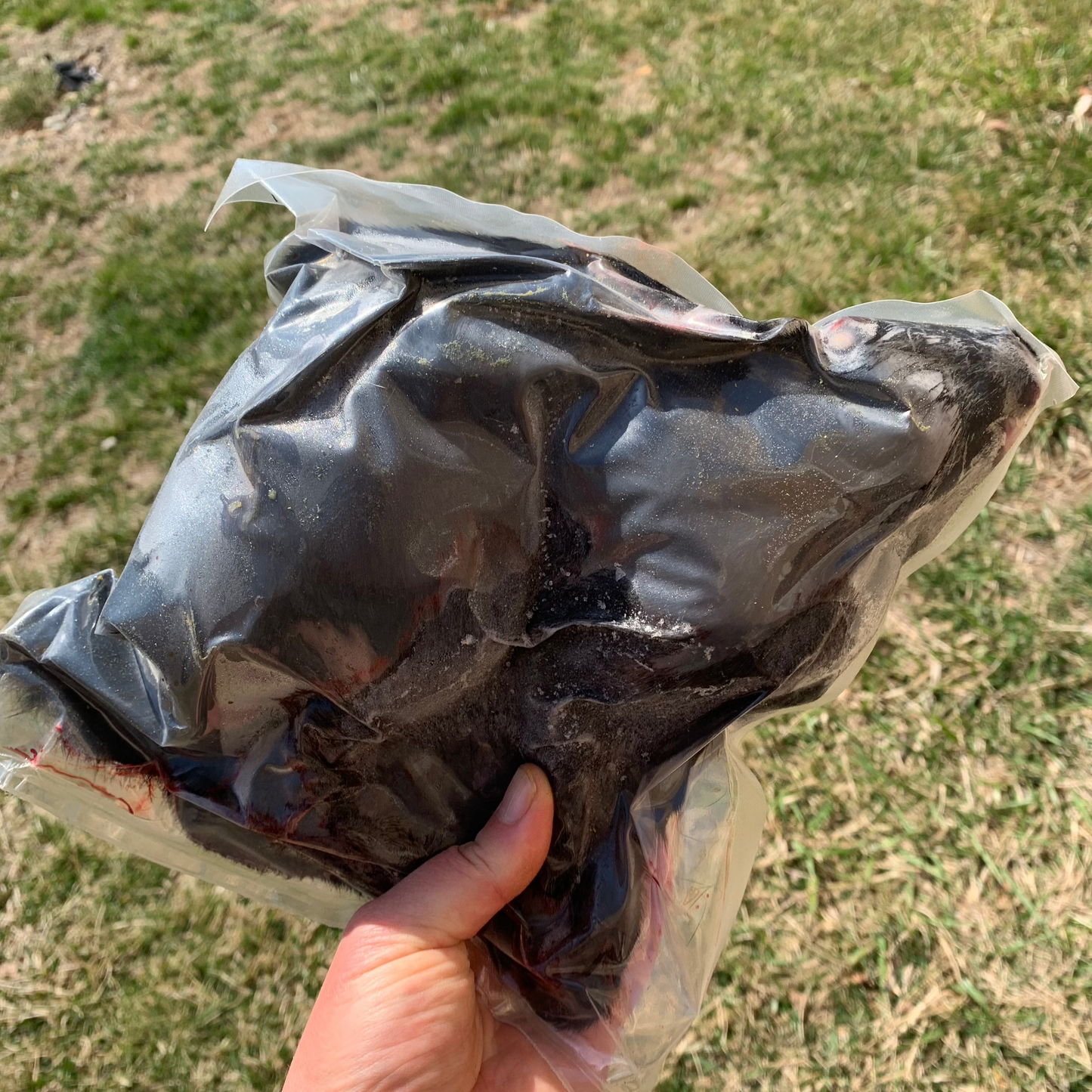 Whole Prey Rabbit 3+ LB.