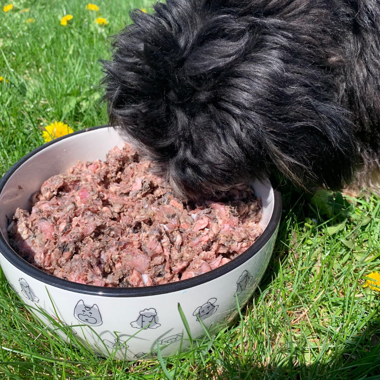 Coarse Ground Beef Tripe with Trachea and Gullet-2 LB.