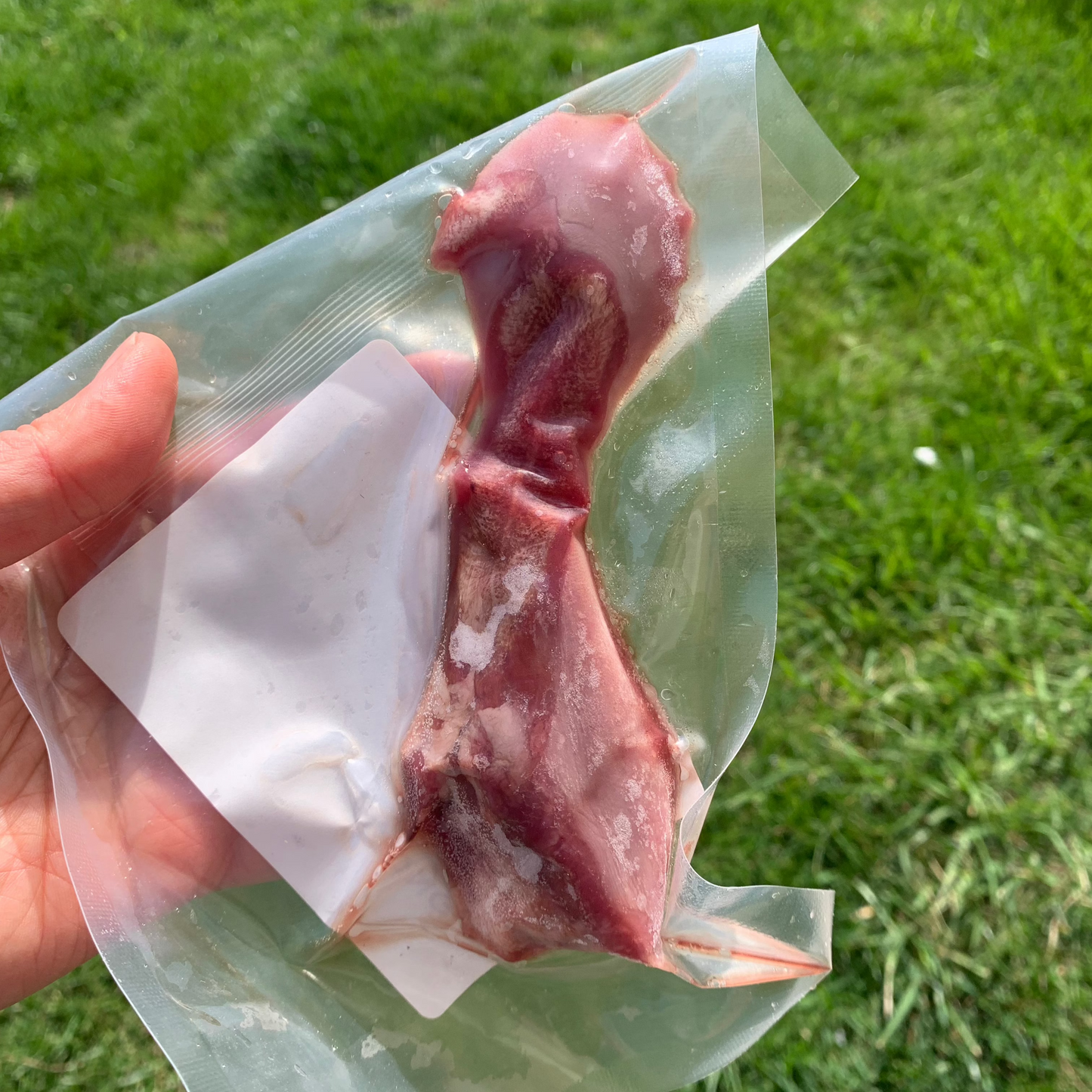 The Maker's Meadow Lamb Tongue