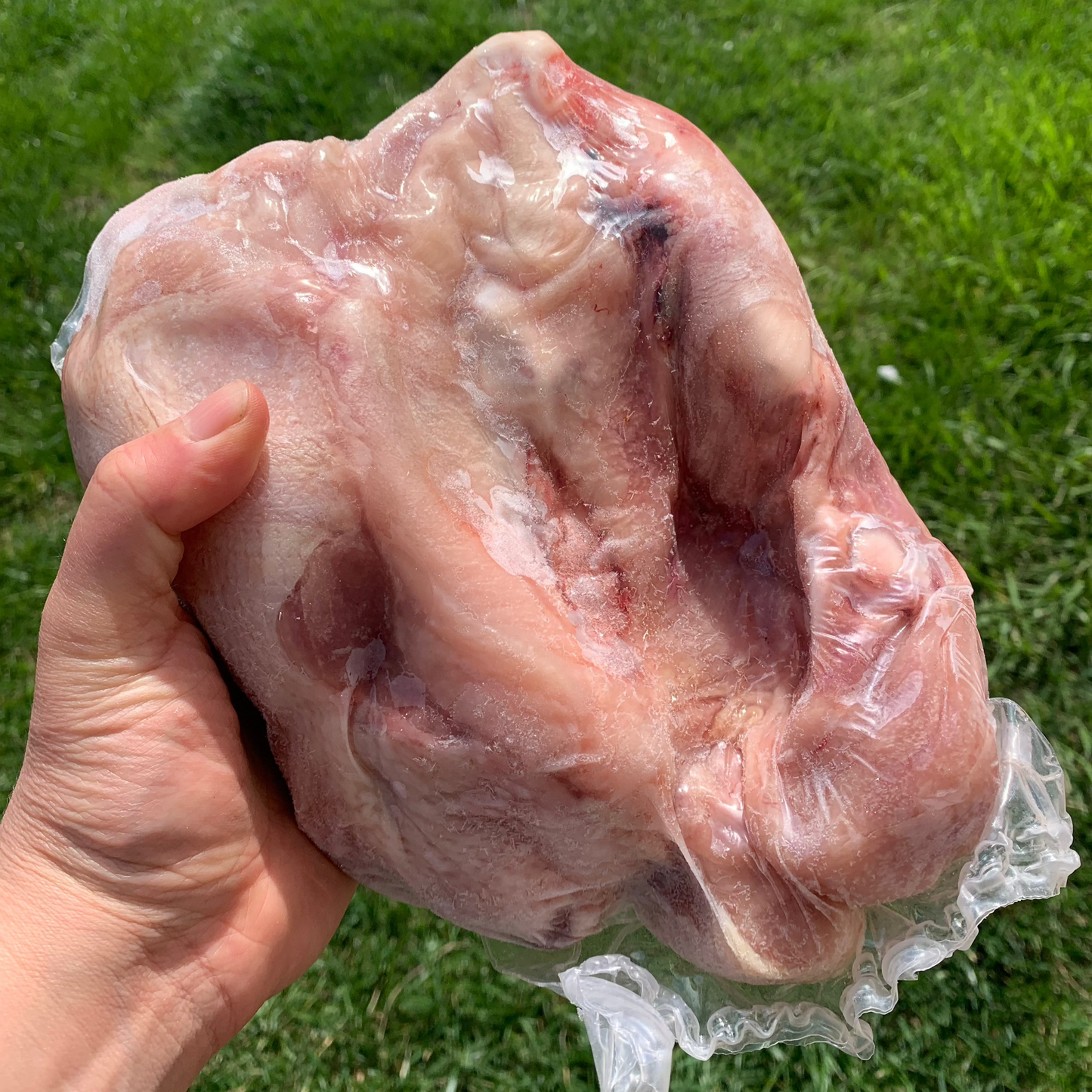 The Maker's Meadow Chicken Backs