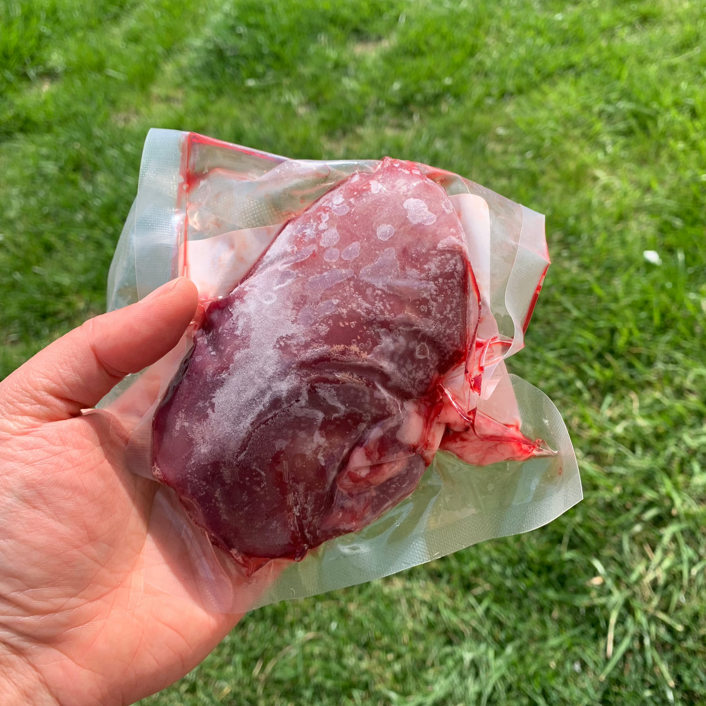 The Maker's Meadow Pork Kidney