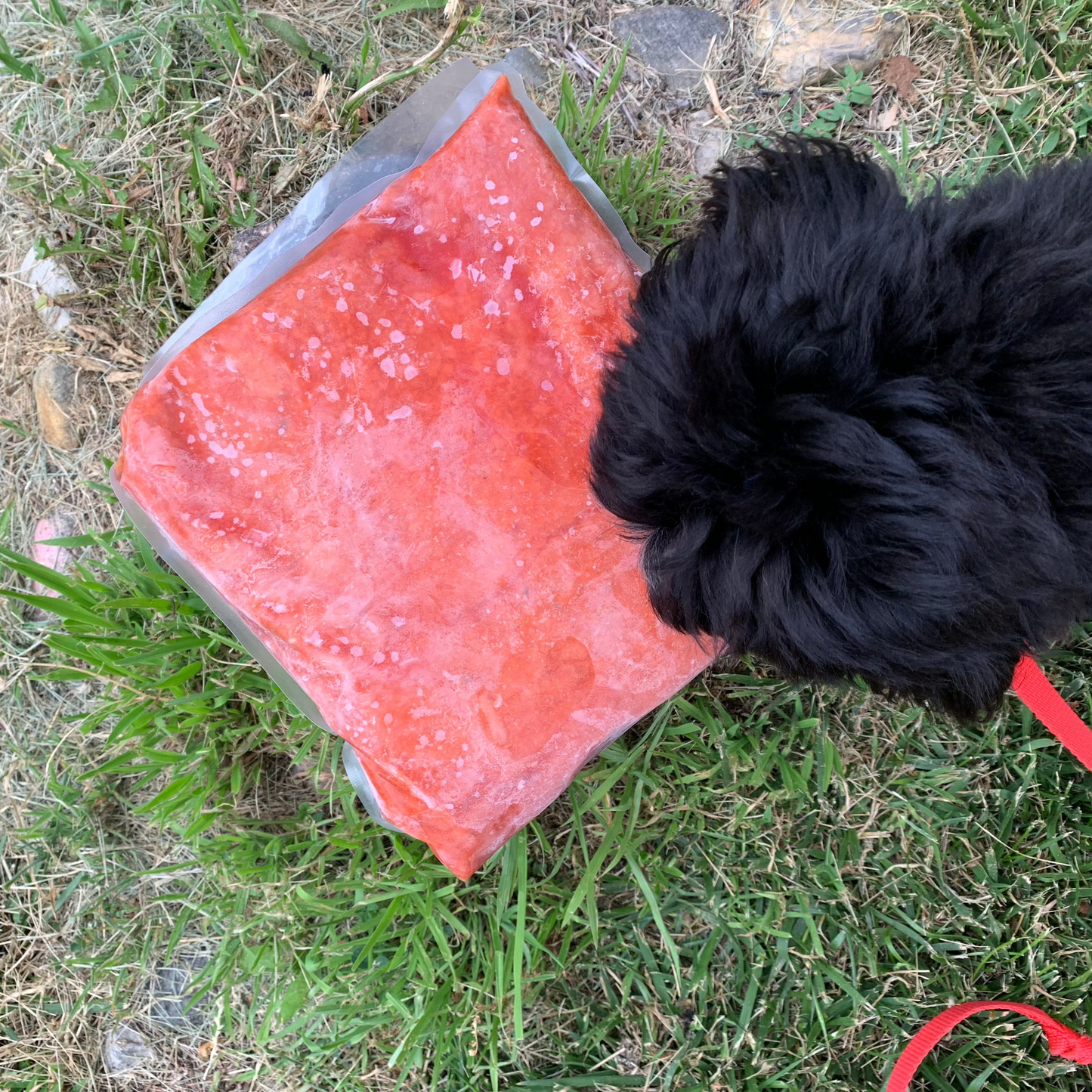 Salmon Trim - 6.6 LB