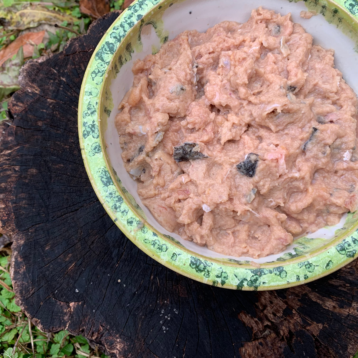 Ground Lake Trout Fish-2 LB.