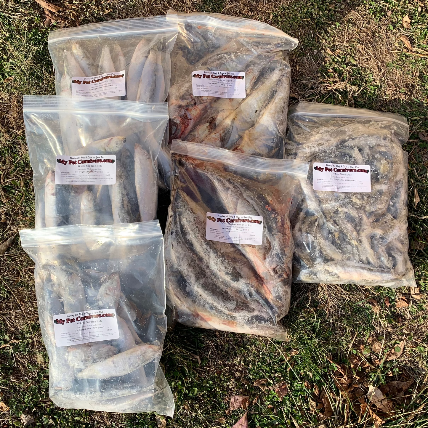 Whole Prey Fish Bundle + Free Shipping