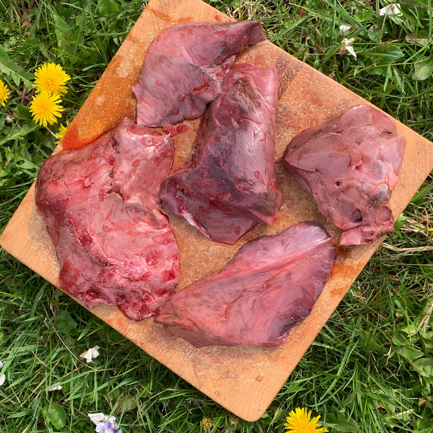 Pork Liver Chunks-5 LB.