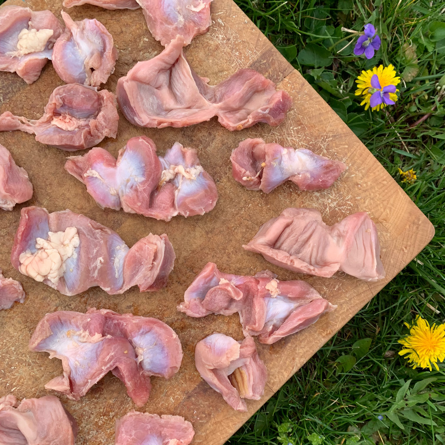 Chicken Gizzards-2 LB.