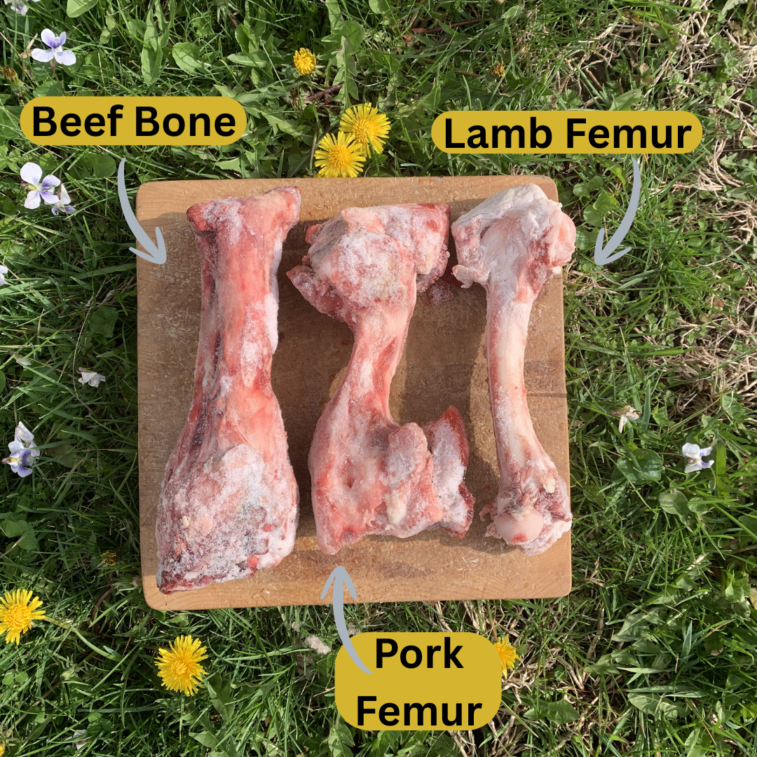 Beef Bones-2 pack