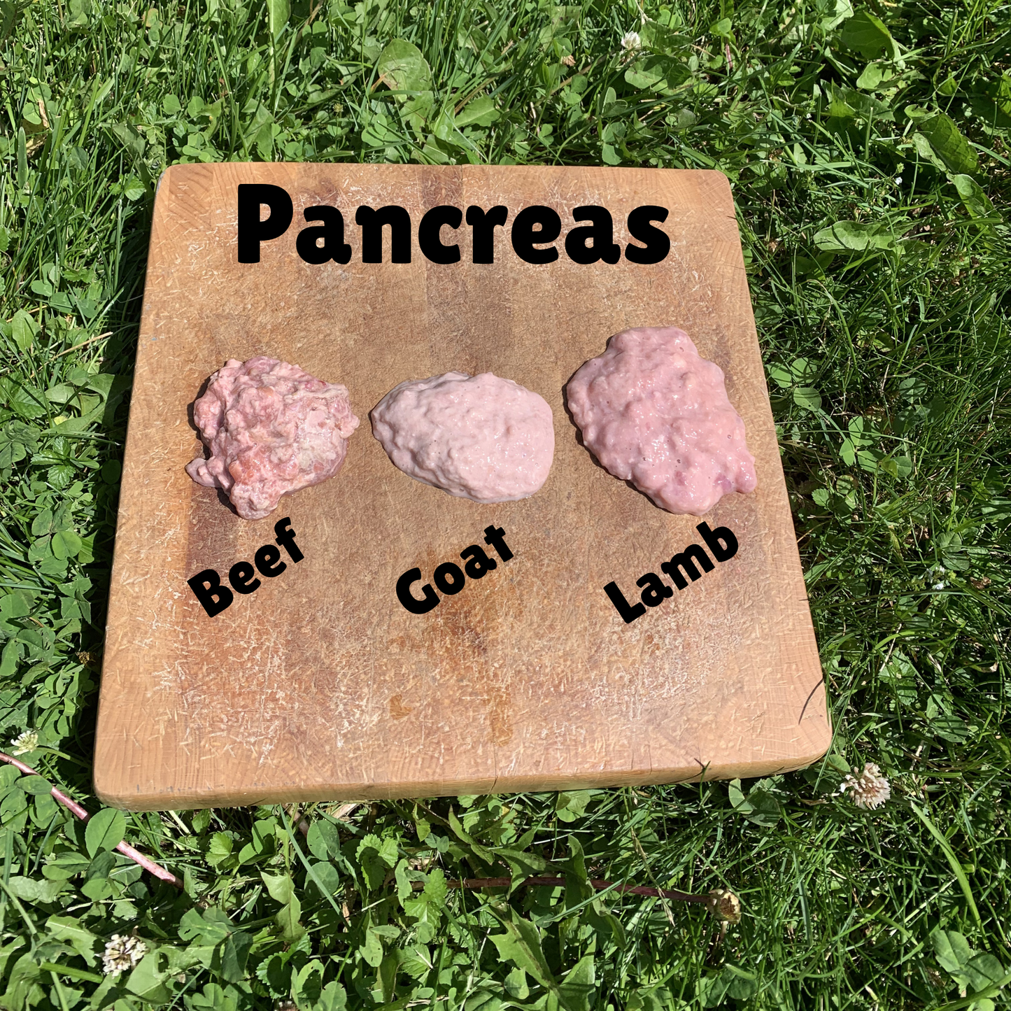 Ground Goat Pancreas-1 LB.