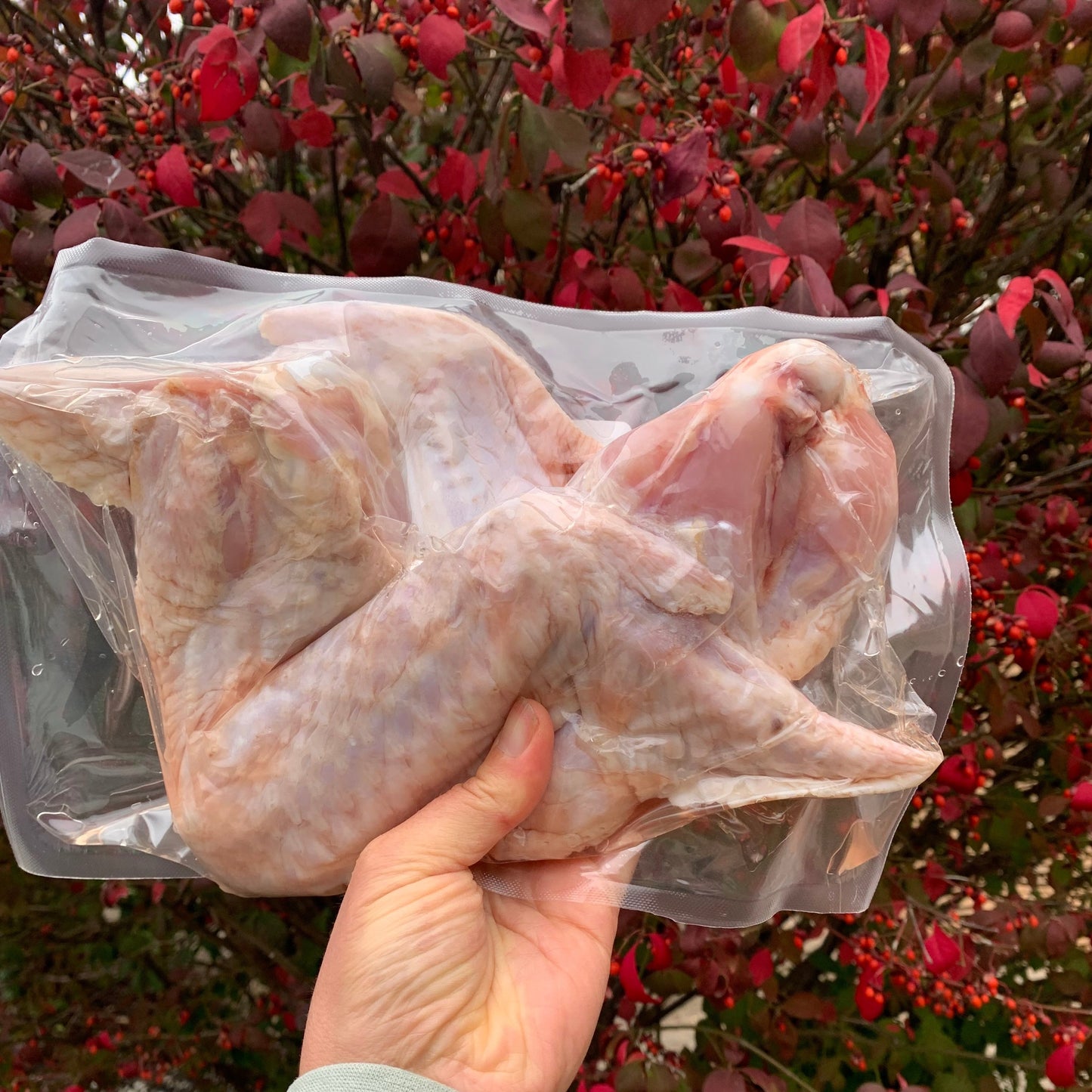Whole Turkey Wings - 2 pk