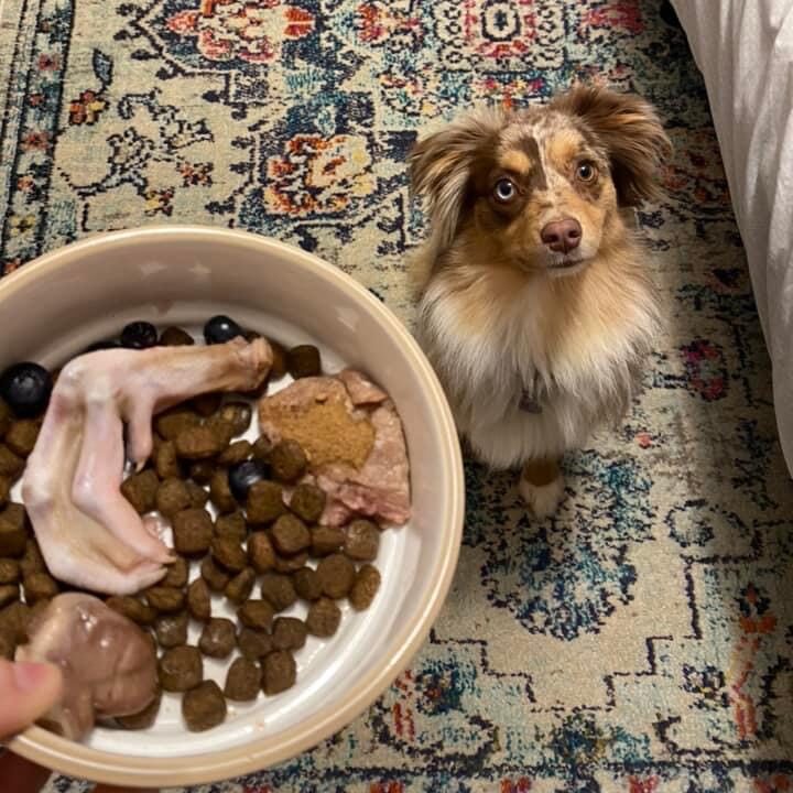 Duck Feet-3 LB.