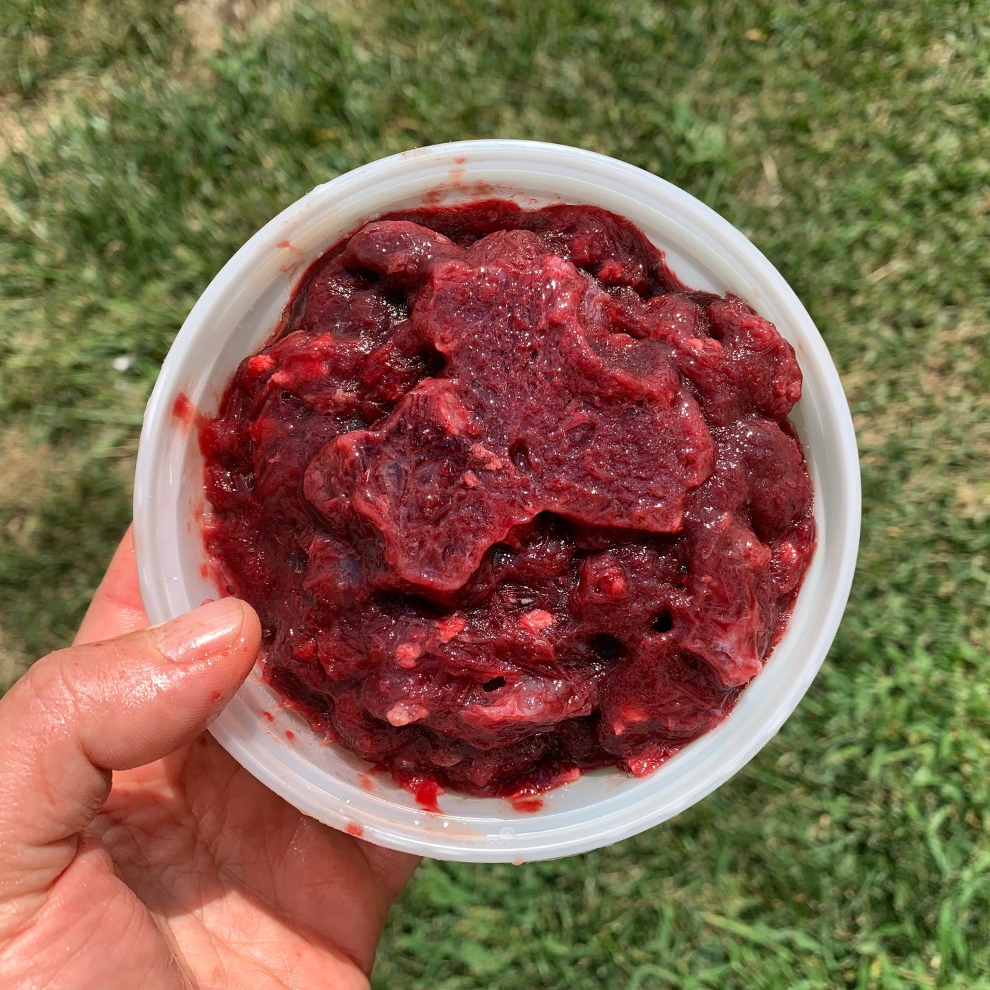 Ground Lamb Spleen-1 LB.