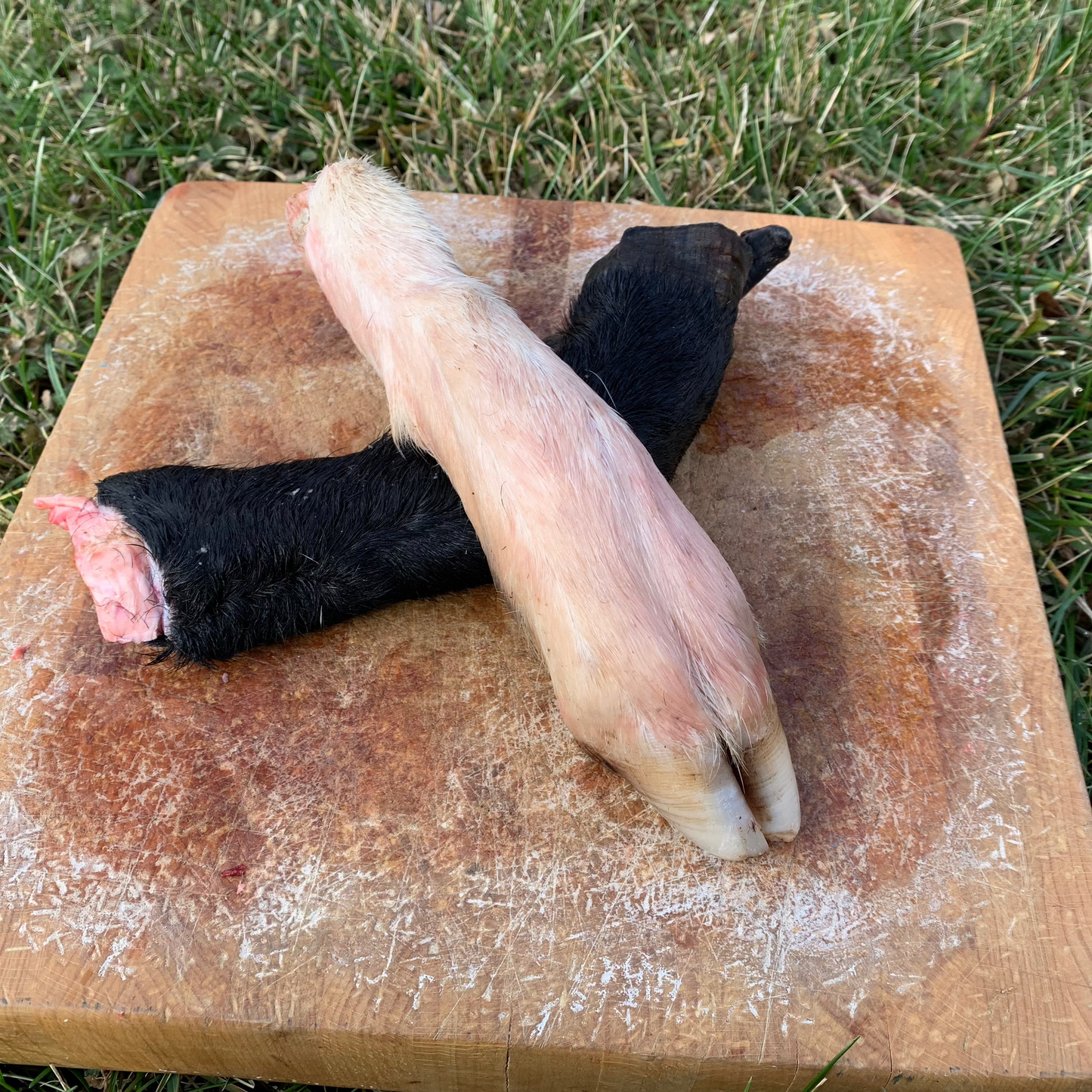 Lamb Trotters with Hide & Hoof - 2 pack