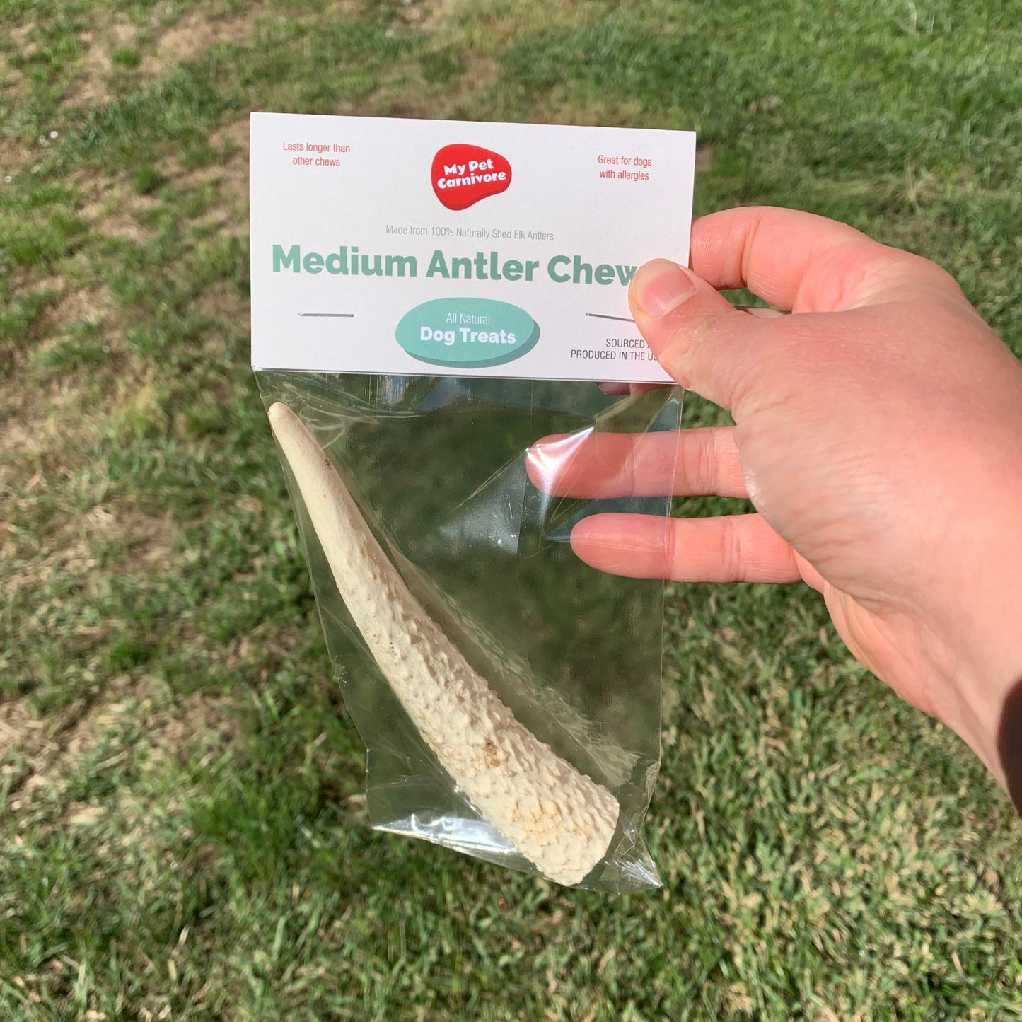 Elk Antler Medium Chew