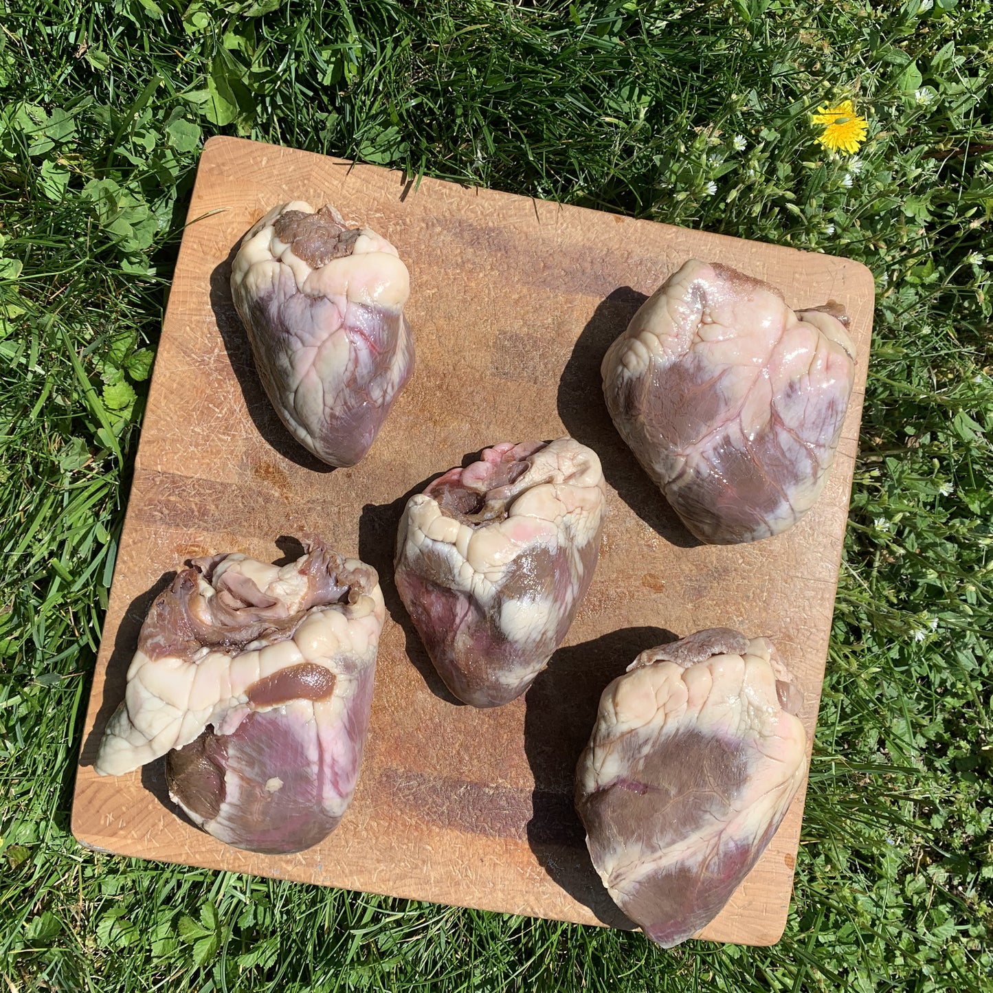 Whole Lamb Hearts-2 LB.