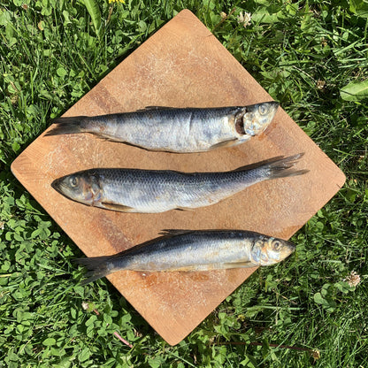 Whole Sardines Fish-3 LB.
