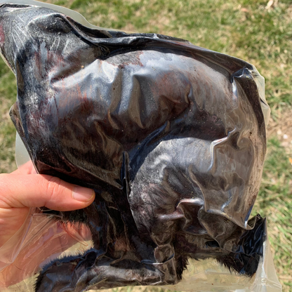 Whole Prey Rabbit 2-3 LB. โ My Pet Carnivore