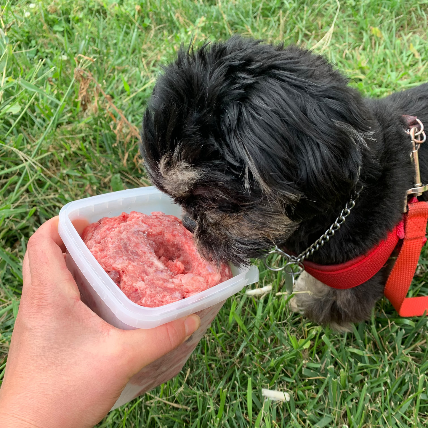 Coarse Ground Whole Pork-2 LB.