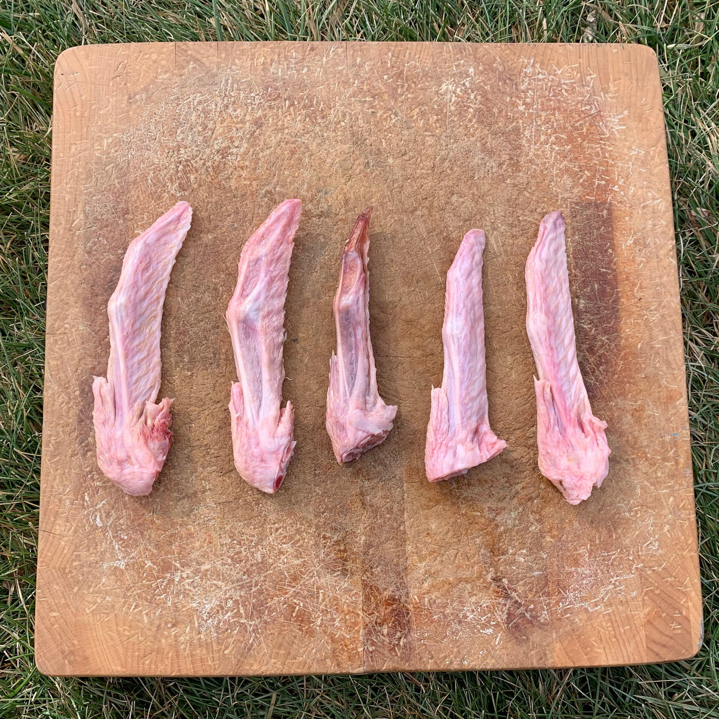 Duck Wing Tips - 5 Pack