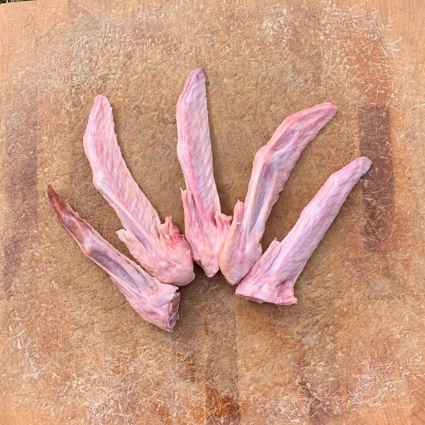 Duck Wing Tips - 5 Pack