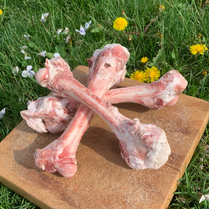 Lamb Femur Bones-3 pack