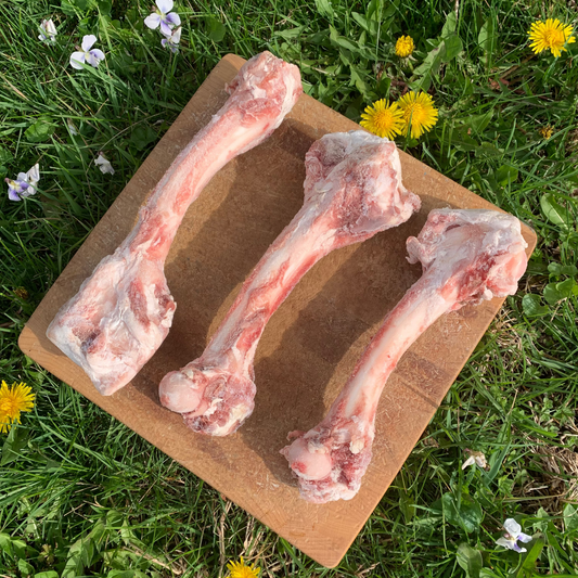 Lamb Femur Bones-3 pack