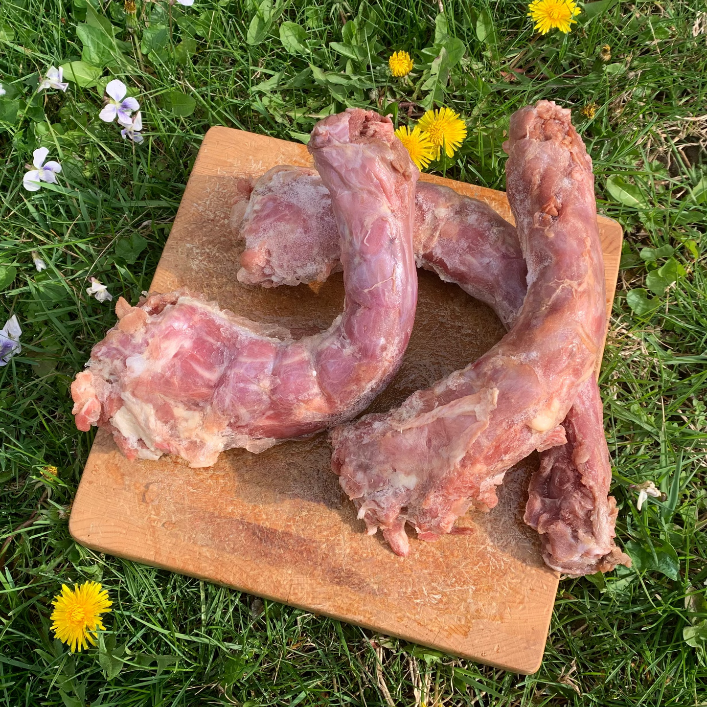 Whole Turkey Necks-3 Pack
