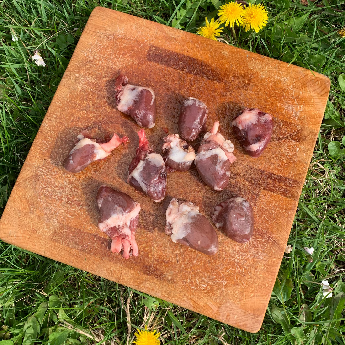 Turkey Hearts-3 LB.