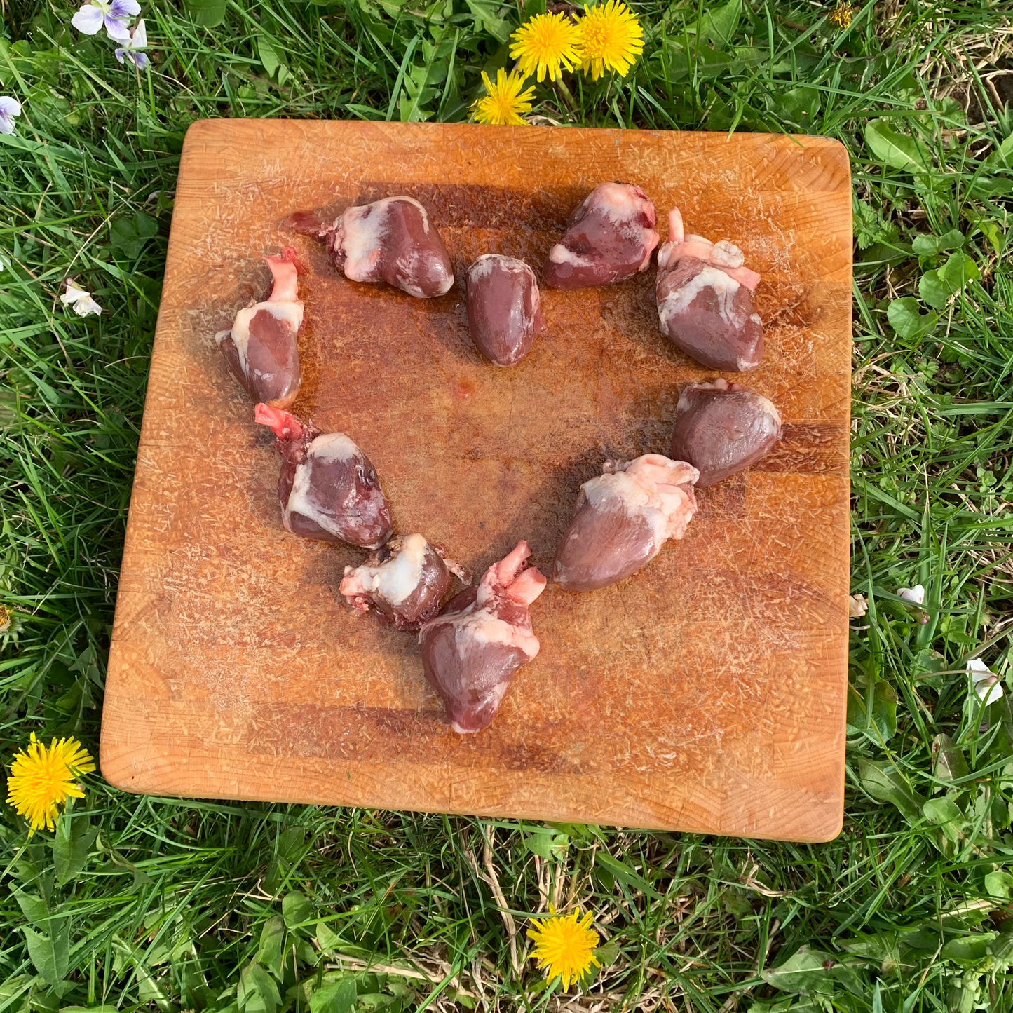 Turkey Hearts-3 LB.