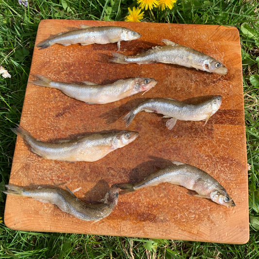 Whole Smelt Fish-3 LB.