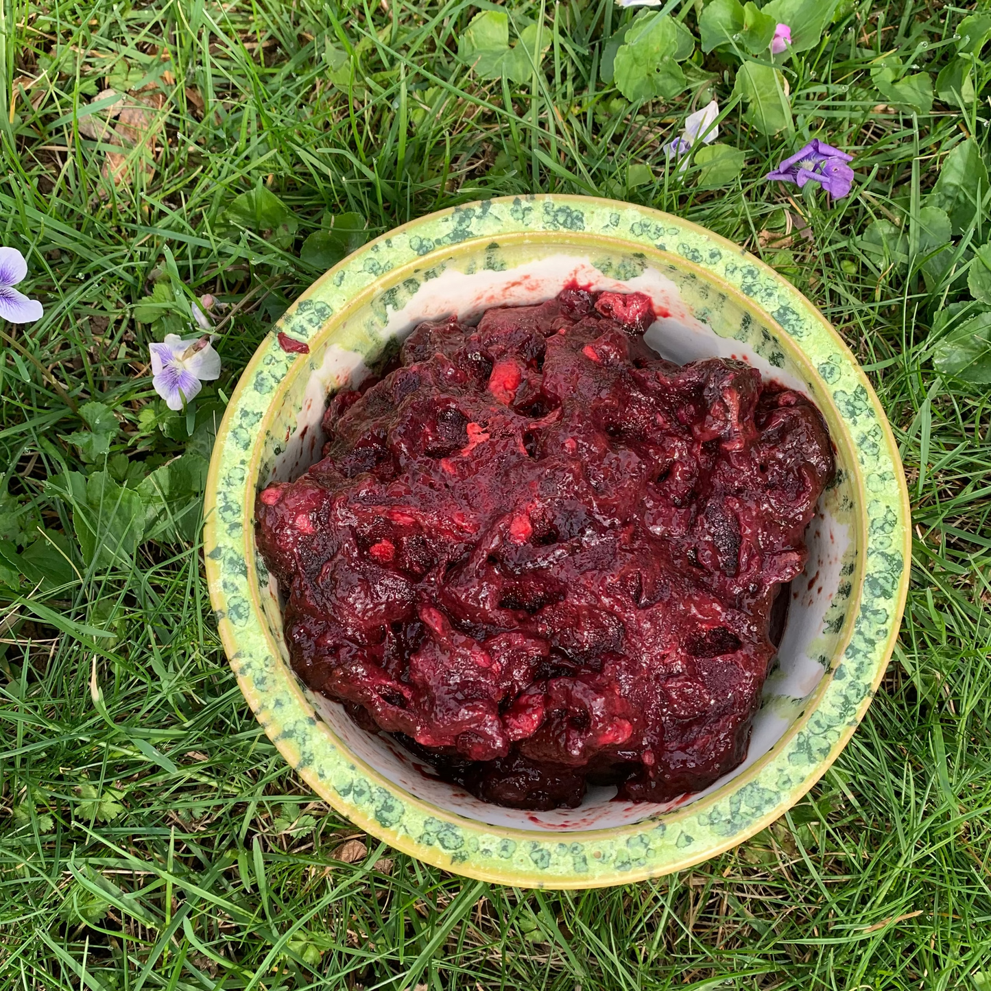 Ground Goat Spleen-1 LB.