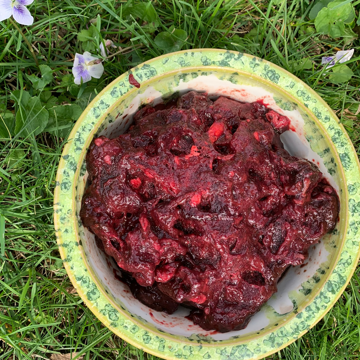 Ground Goat Spleen-1 LB.