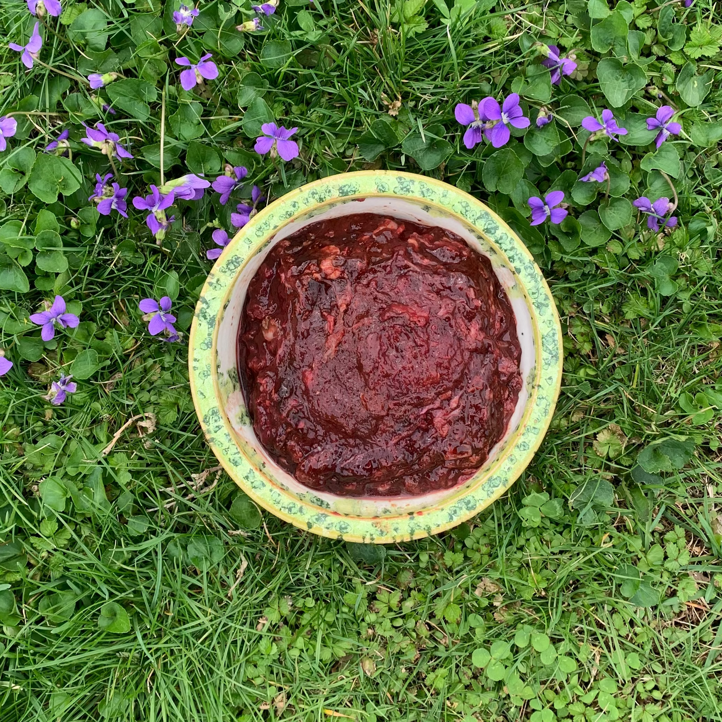 Ground Beef Spleen-1 LB.