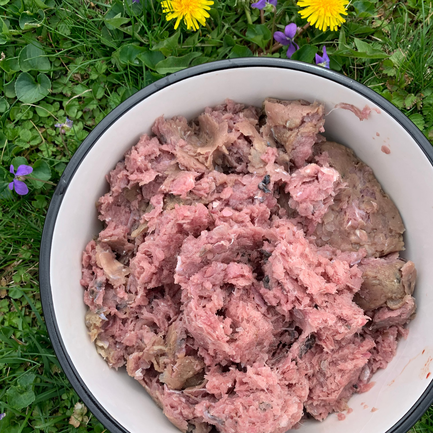 Ground Lake Herring Fish-2 LB.