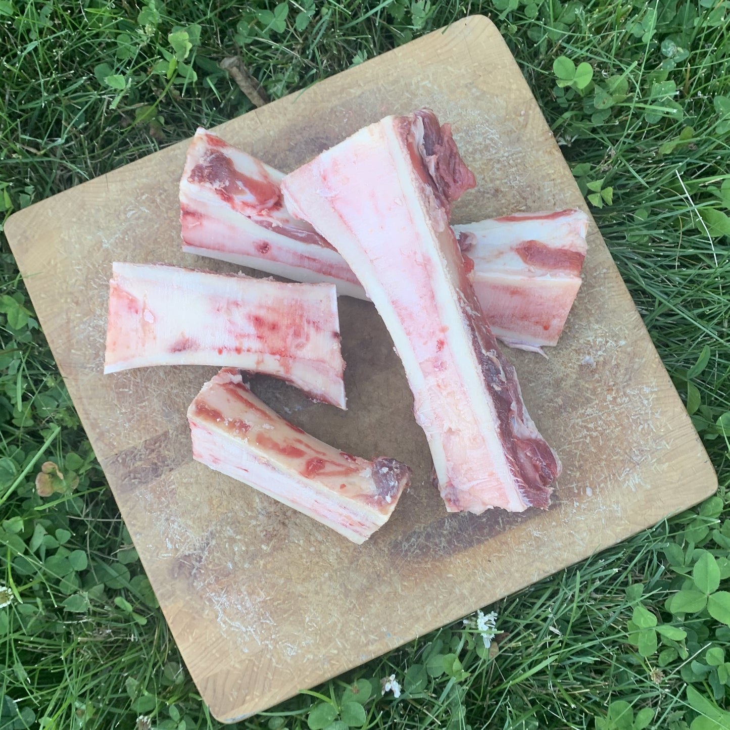 Canoe Cut Beef Bones-2 LB.