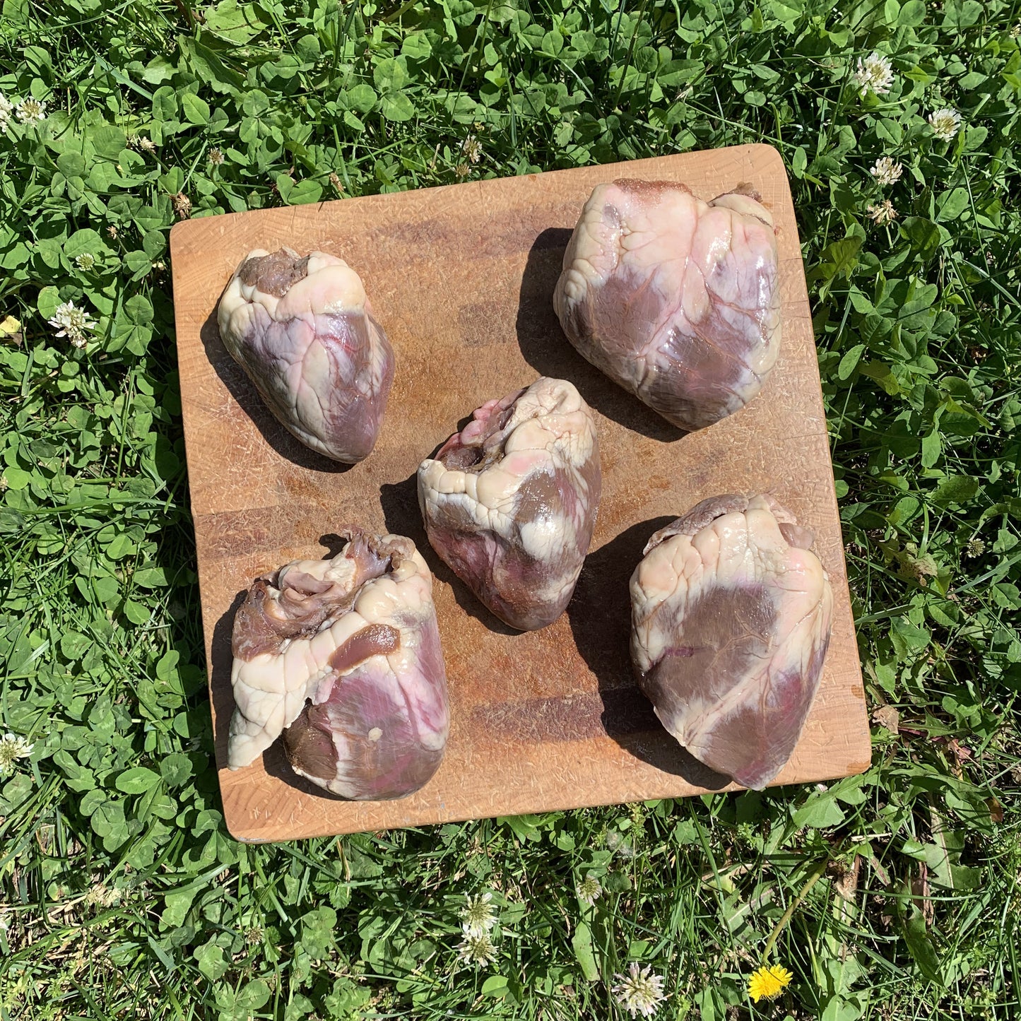 Whole Lamb Hearts-2 LB.