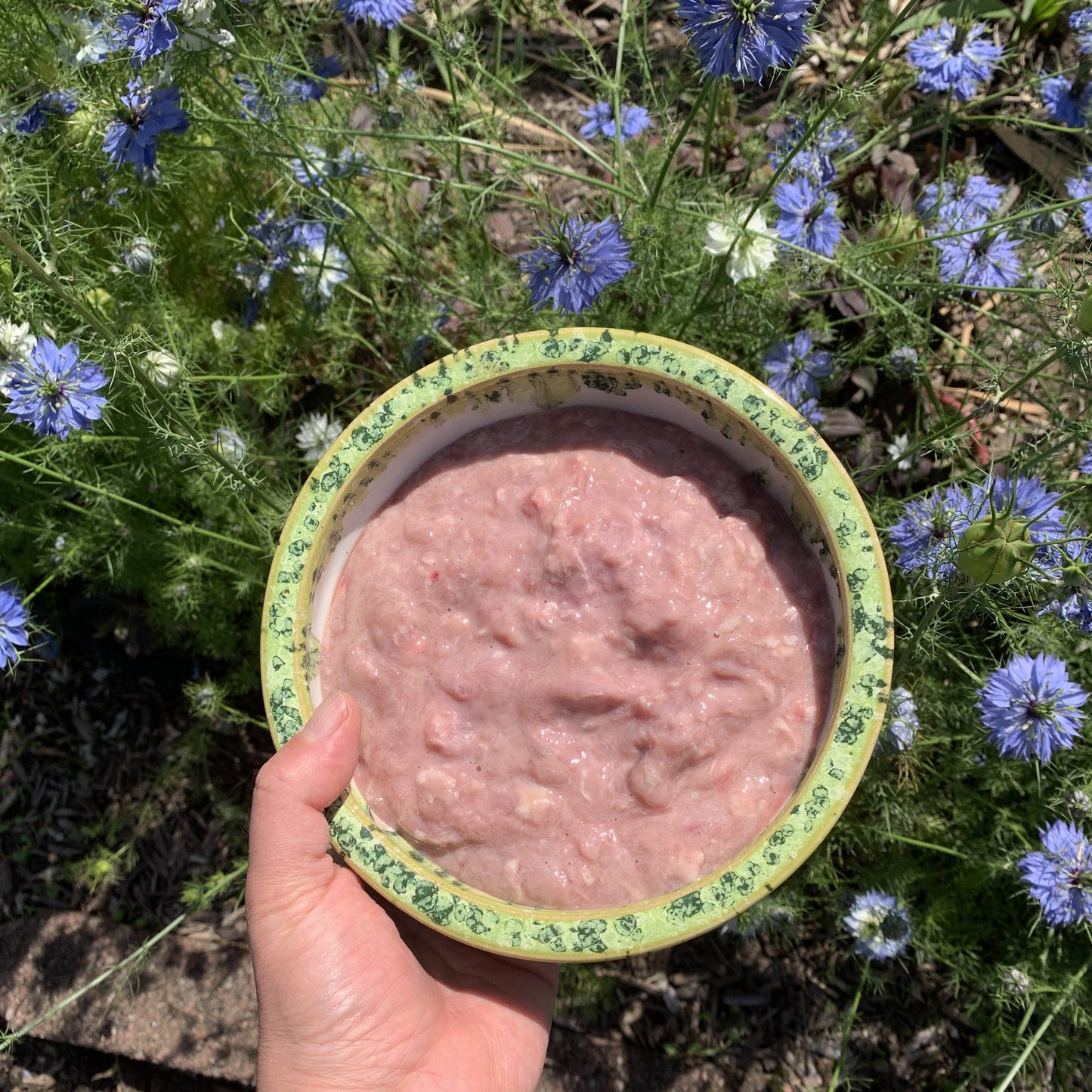 Ground Lamb Pancreas-1 LB.
