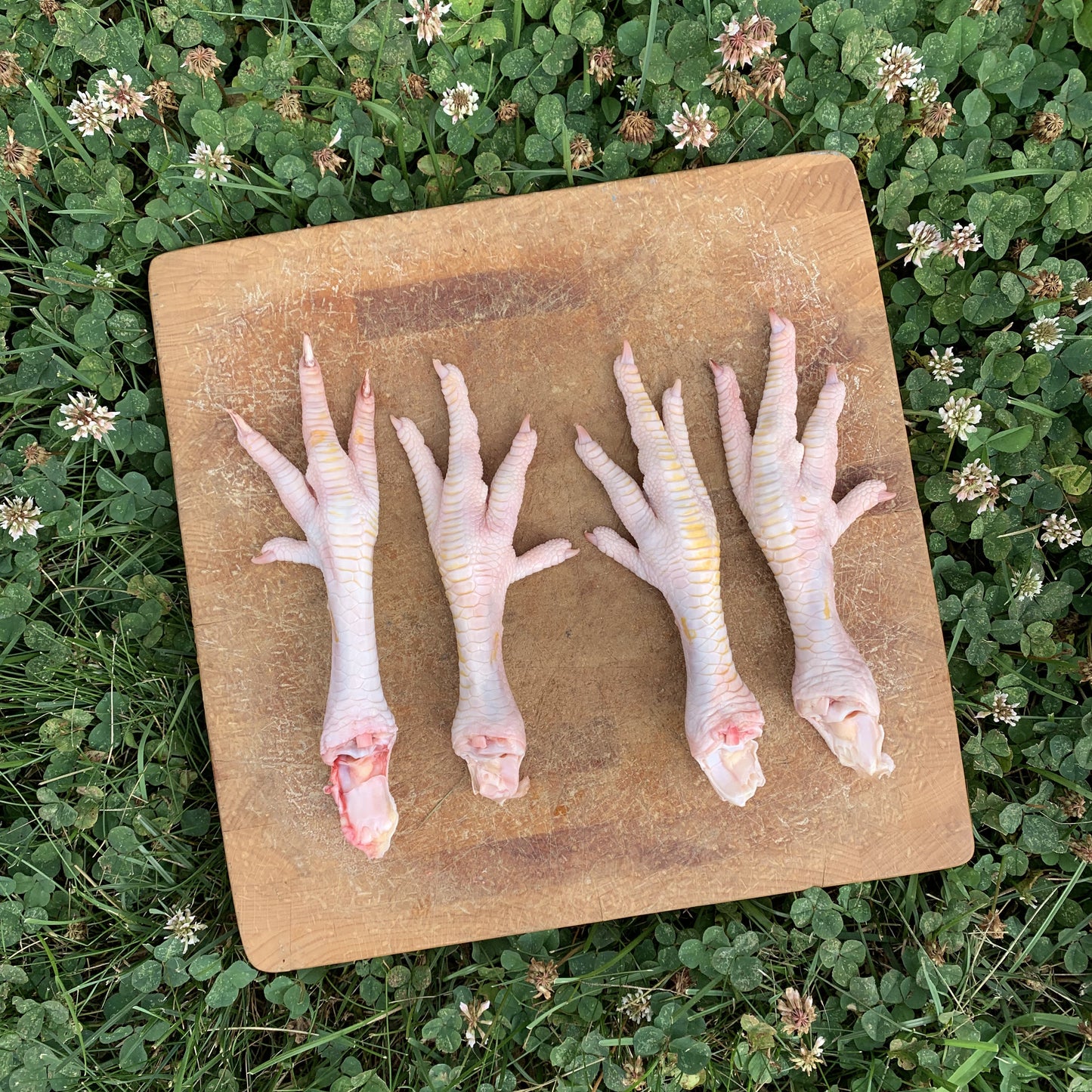 Chicken Feet-3 LB.