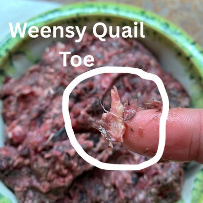Whole Prey Quail Grind-1 LB.