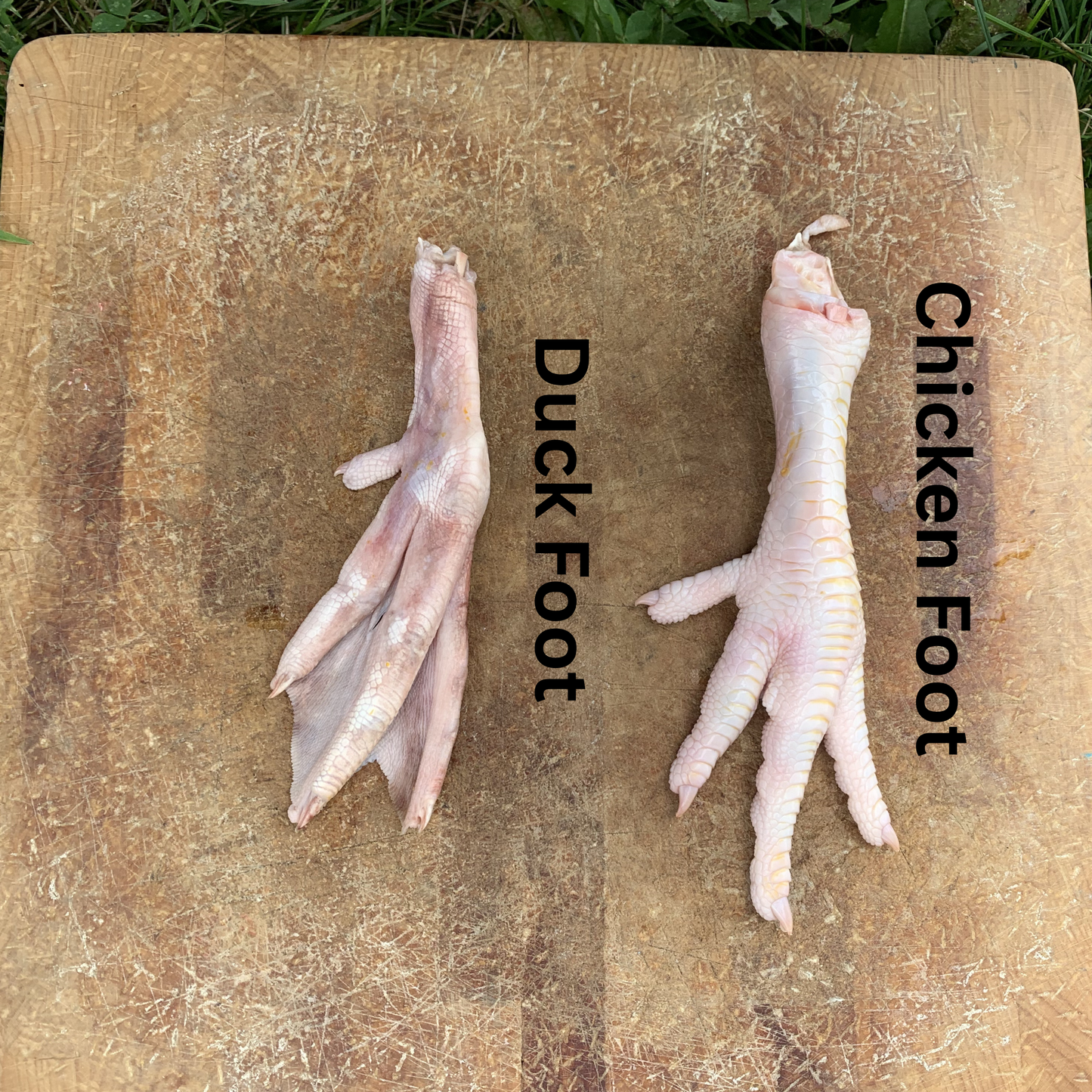 Duck Feet-3 LB.