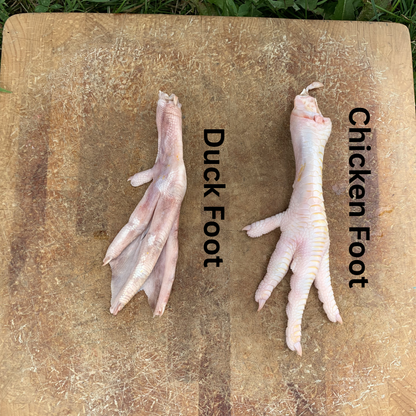 Duck Feet-3 LB.