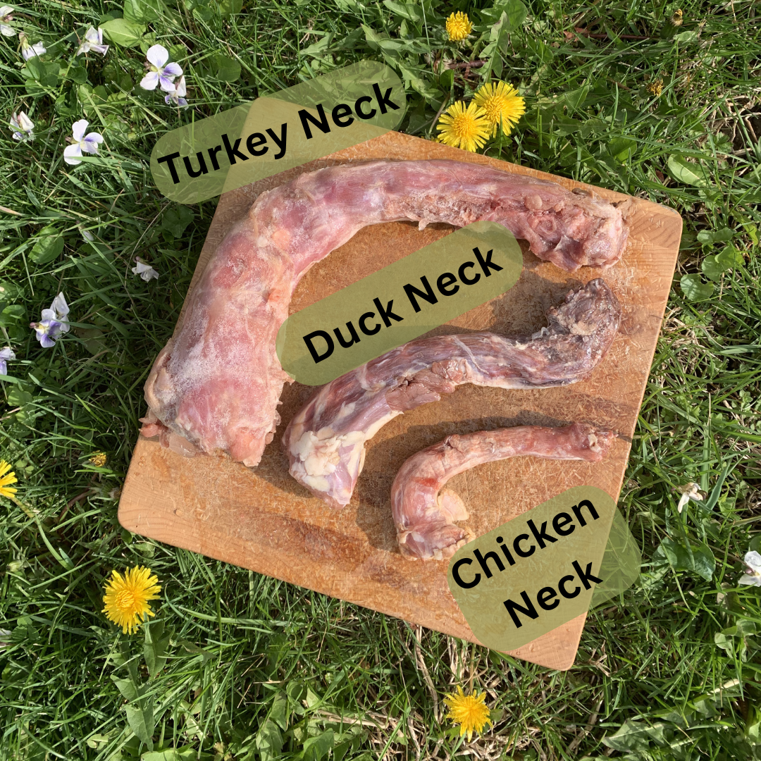 Duck Necks-6 pack