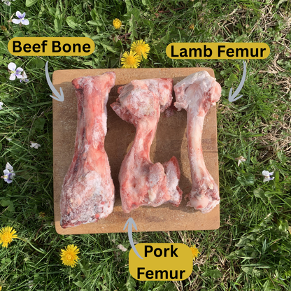 Beef Bones-2 pack
