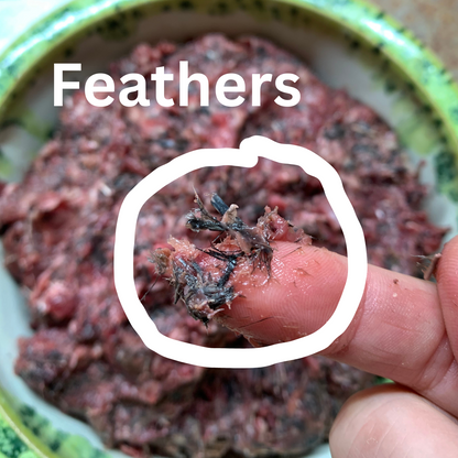 Whole Prey Quail Grind-1 LB.
