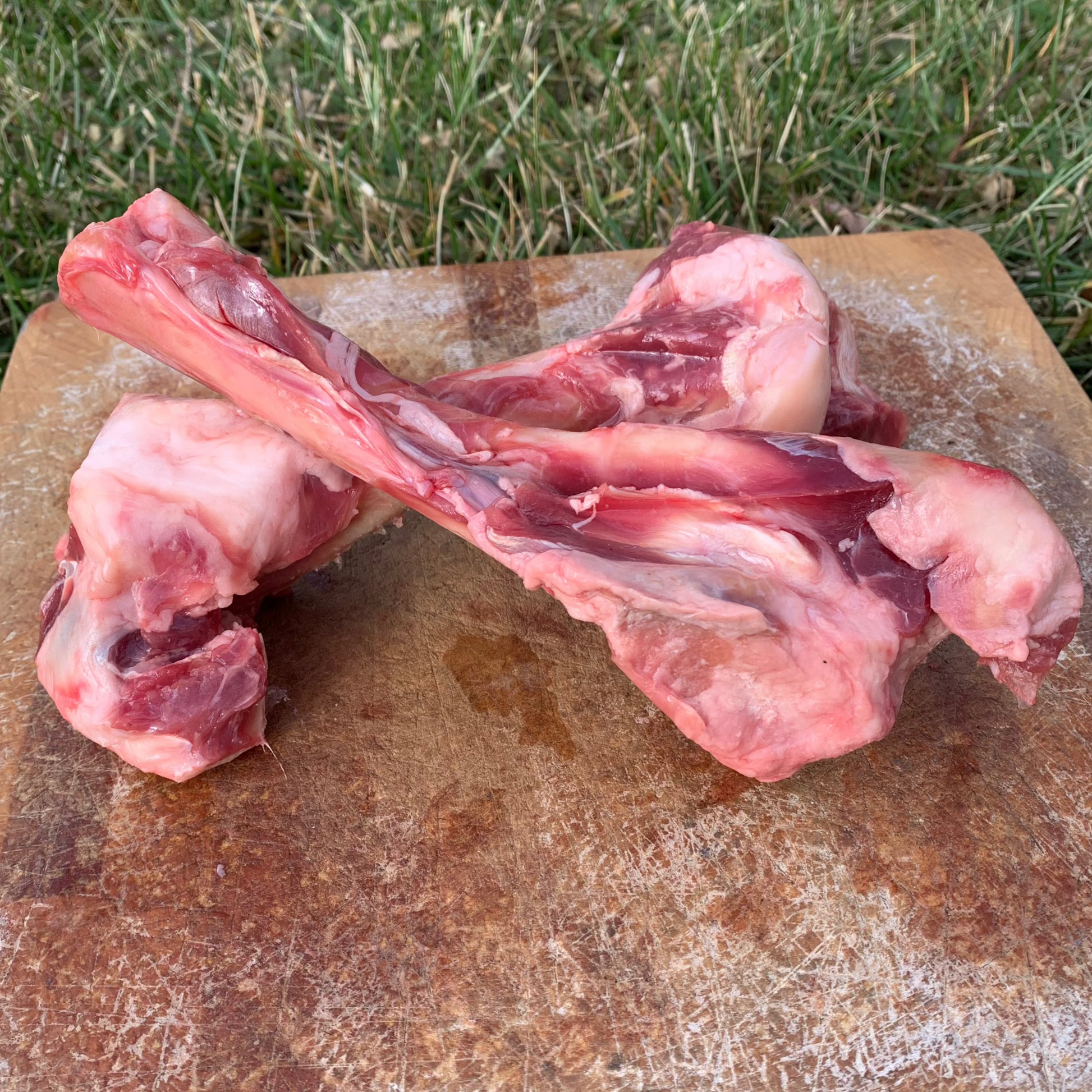 Lamb Marrow Bones pk – My Pet Carnivore - Main Image