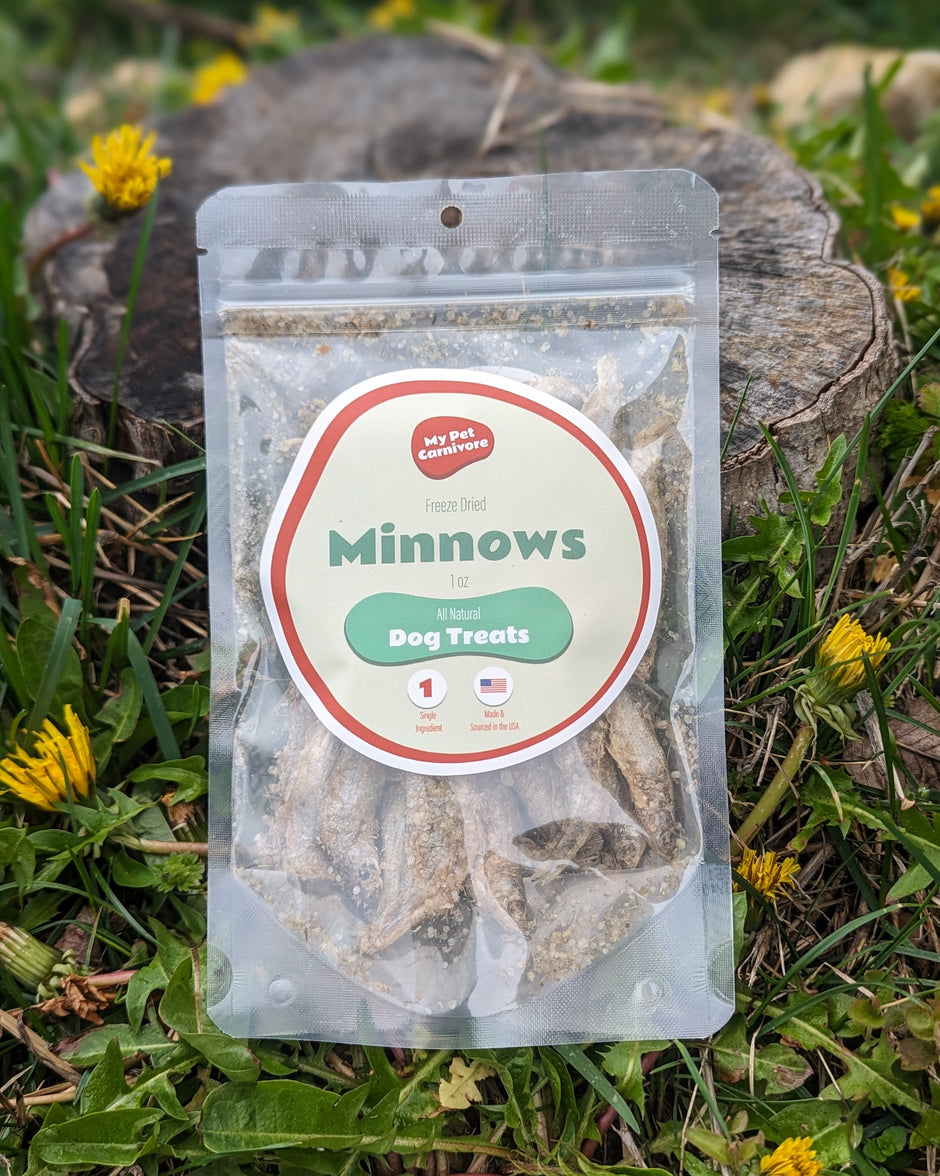 Whole Prey Raw Fish For Pets My Pet Carnivore whole-prey-raw-fish-for-pets-my-pet-carnivore