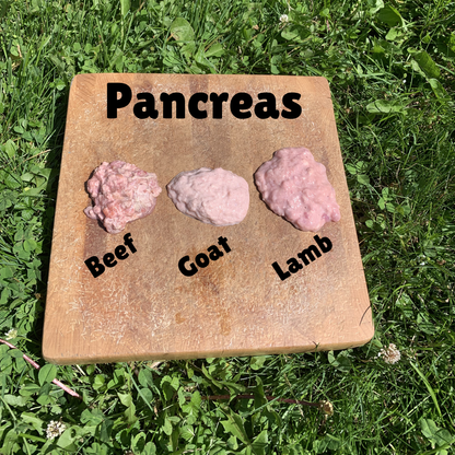 Ground Goat Pancreas-1 LB.