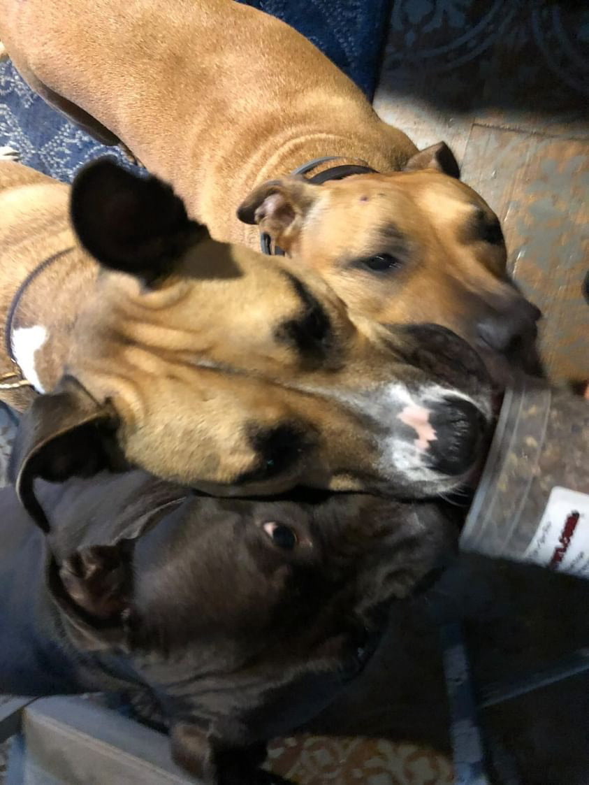 Ground Green Beef Tripe-2 LB.