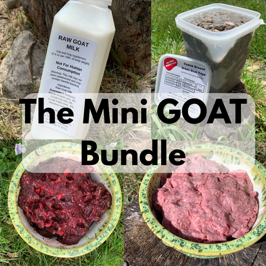The Mini GOAT Bundle + Free Shipping